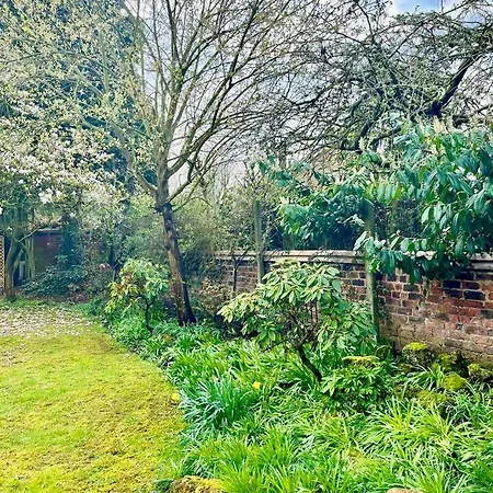 Sunny Garden Flat. Charming Area. Park & York. Apartament
