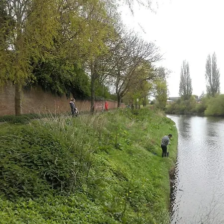 Sunny Garden Flat. Charming Area. Park & York. Apartament York