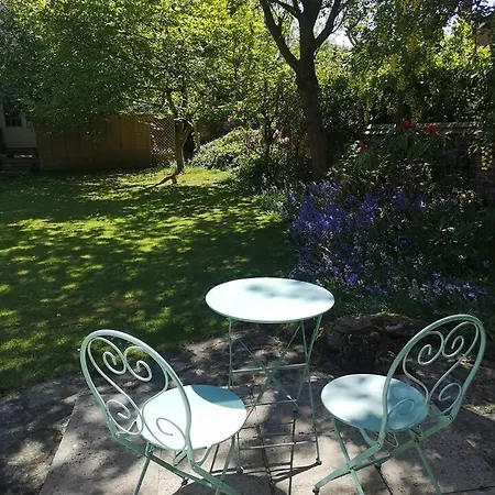 Sunny Garden Flat. Charming Area. Park & York. 公寓