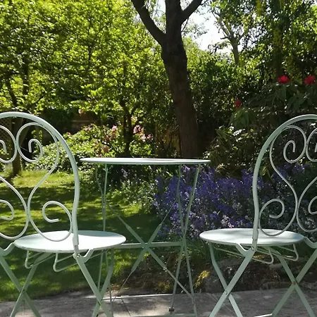 Sunny Garden Flat. Charming Area. Park & York. * 约克
