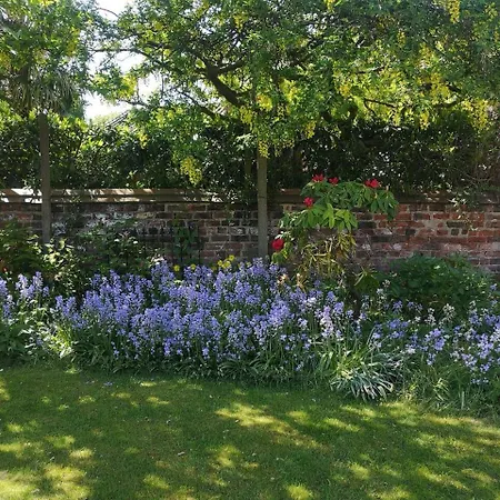 Sunny Garden Flat. Charming Area. Park & York. York